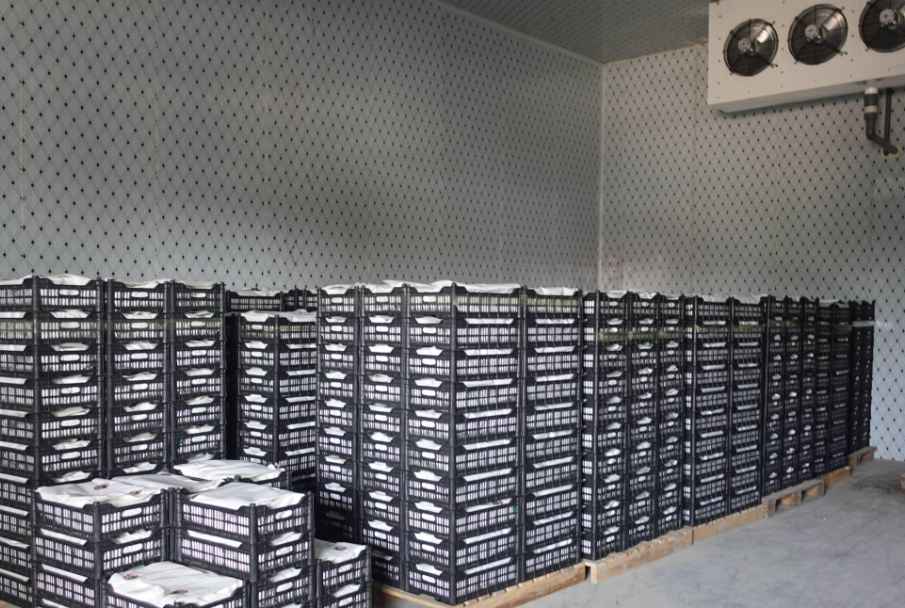 冷庫門密封效果維護和修理辦法? 冷庫門密封效果維護和修理辦法?